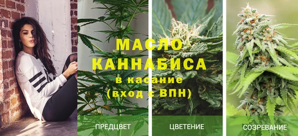 mdpv Богданович